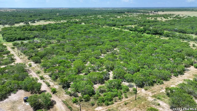 2 County Road 414 McCoy, TX 78113
