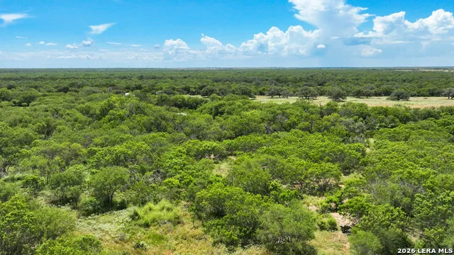 2 County Road 414 McCoy, TX 78113