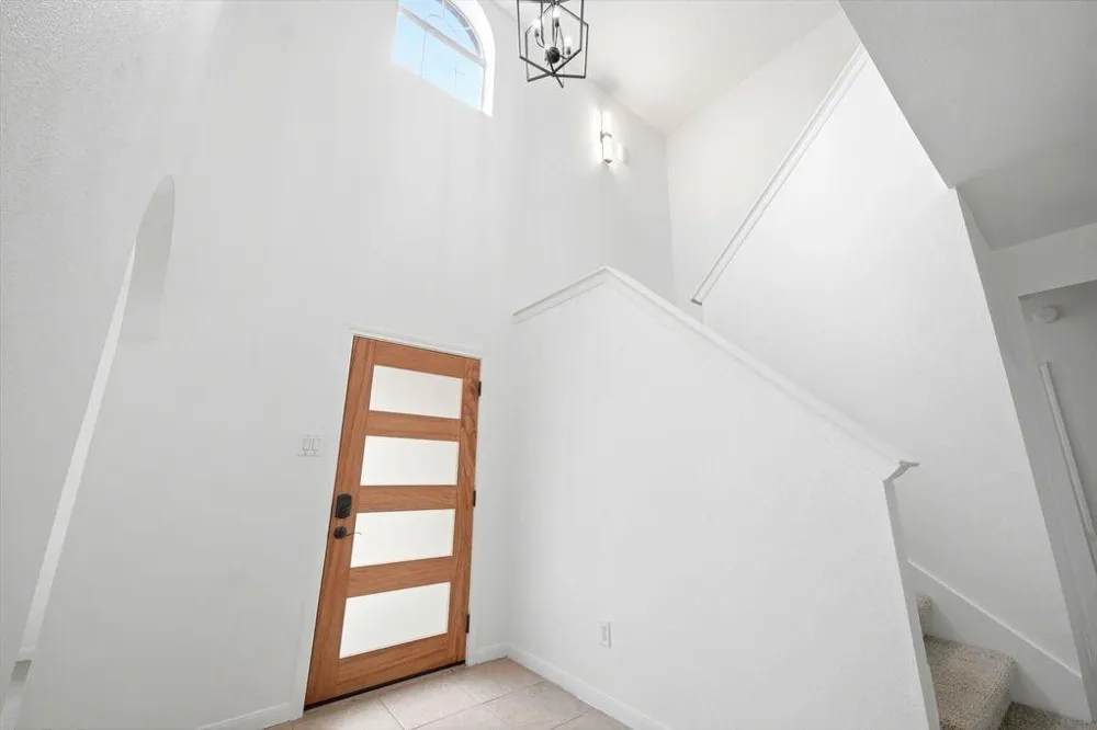22907 Squirrel Tree Street Spring, TX 77389
