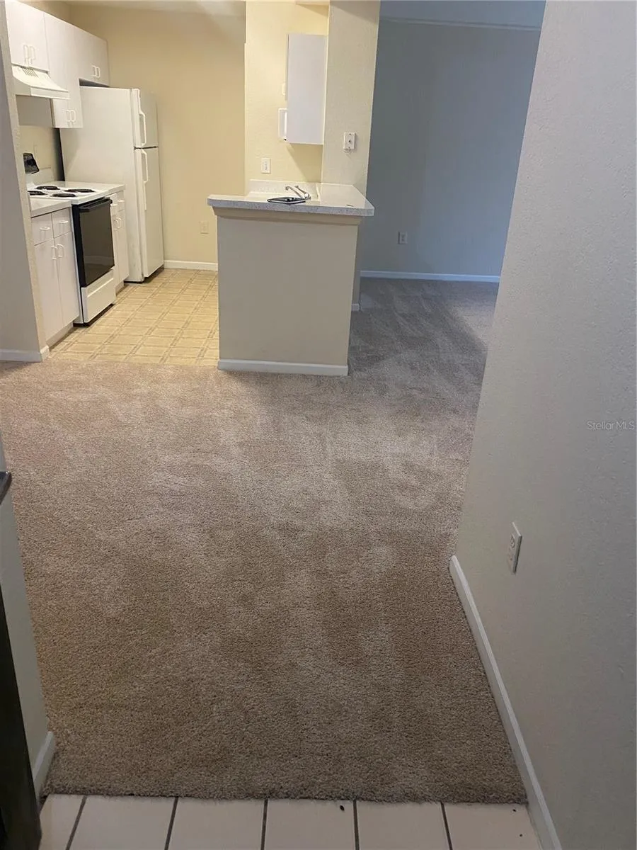 17106 CARRINGTON PARK DRIVE #607 Tampa, FL 33647