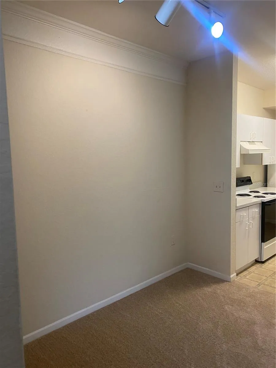 17106 CARRINGTON PARK DRIVE #607 Tampa, FL 33647