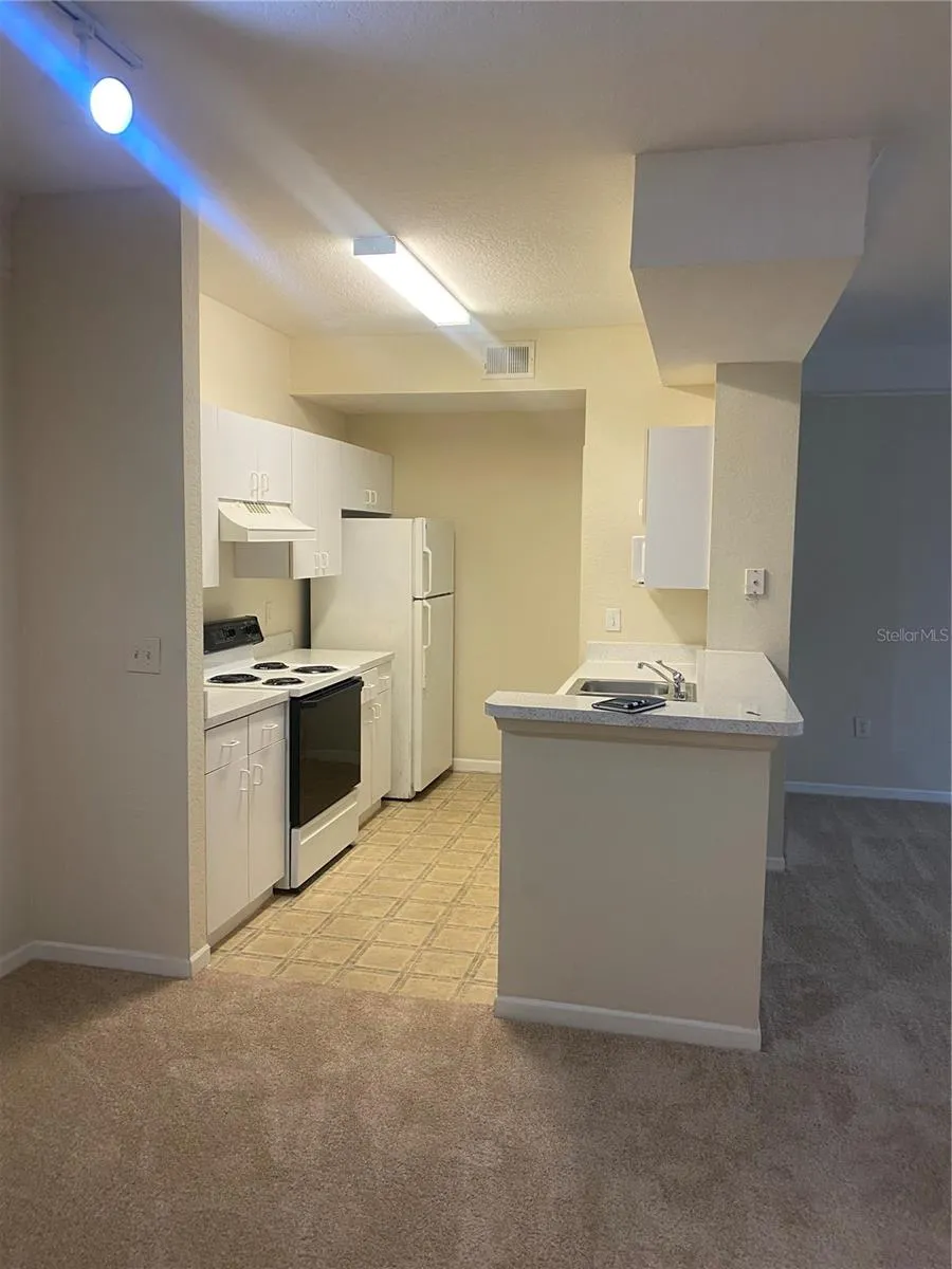 17106 CARRINGTON PARK DRIVE #607 Tampa, FL 33647