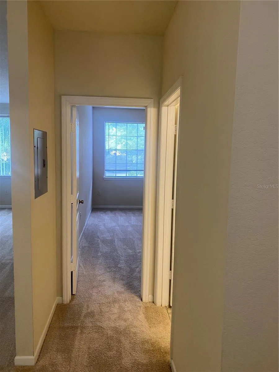 17106 CARRINGTON PARK DRIVE #607 Tampa, FL 33647