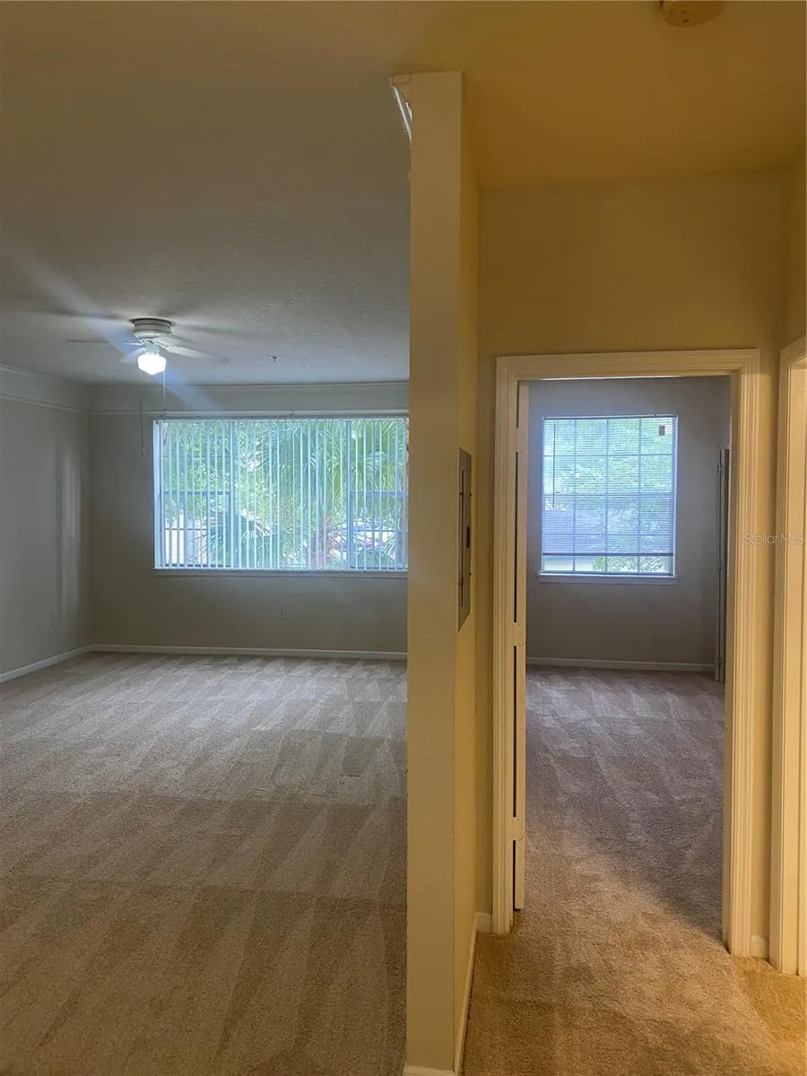 17106 CARRINGTON PARK DRIVE #607 Tampa, FL 33647