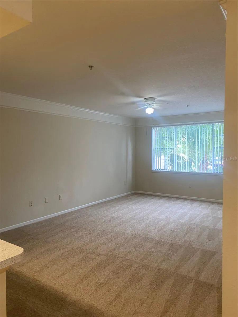 17106 CARRINGTON PARK DRIVE #607 Tampa, FL 33647