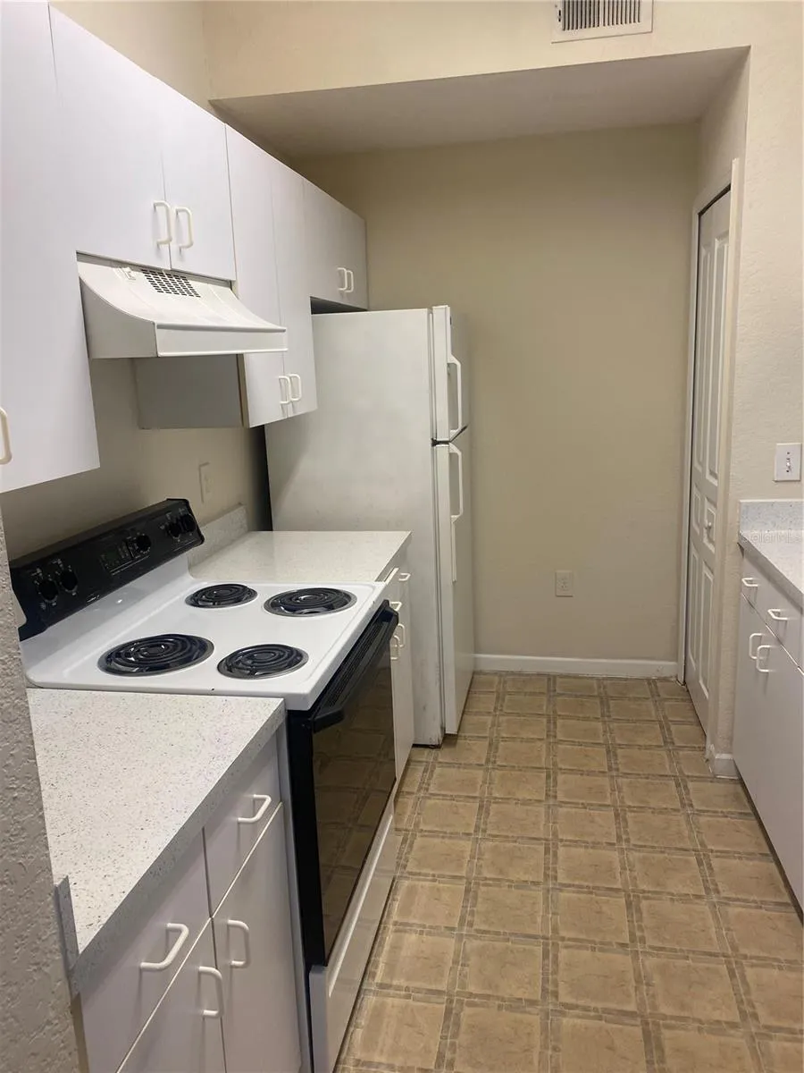 17106 CARRINGTON PARK DRIVE #607 Tampa, FL 33647