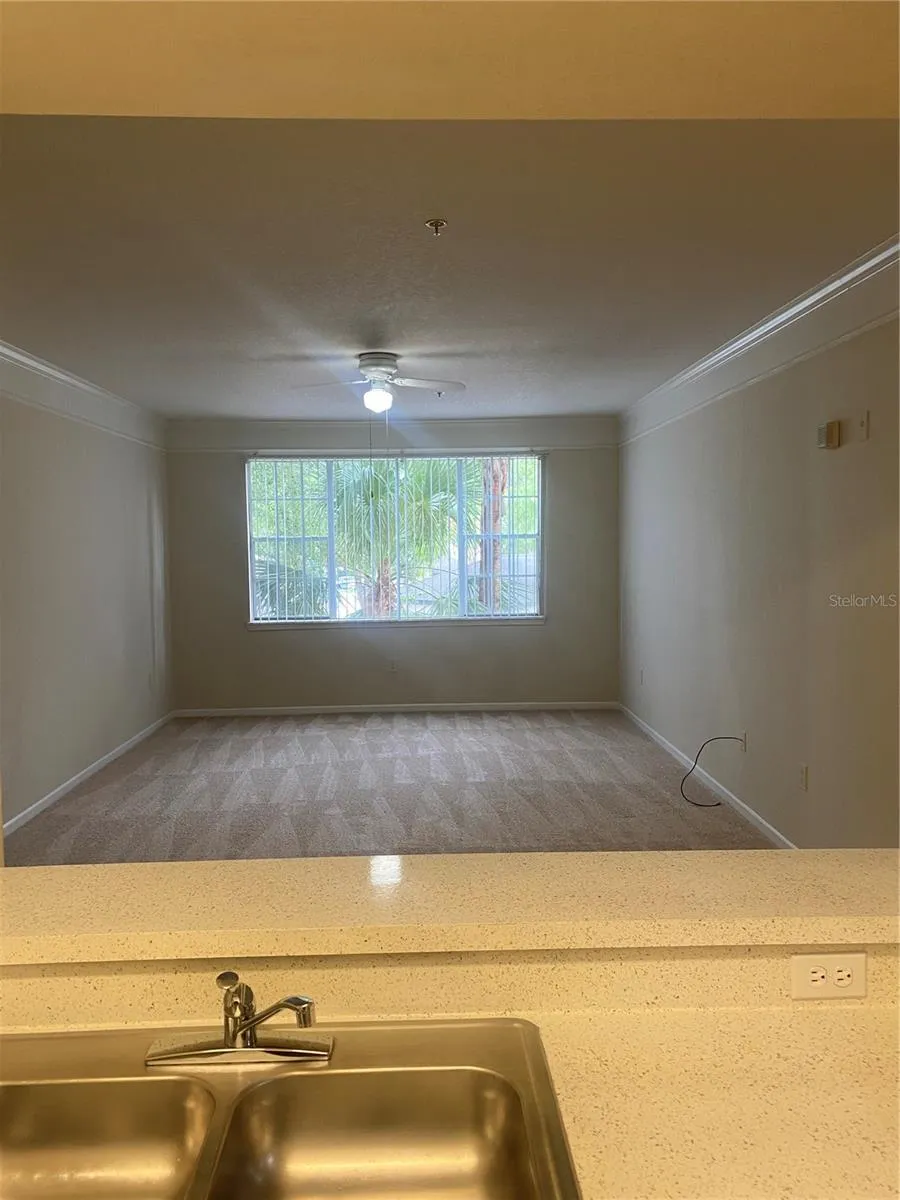 17106 CARRINGTON PARK DRIVE #607 Tampa, FL 33647
