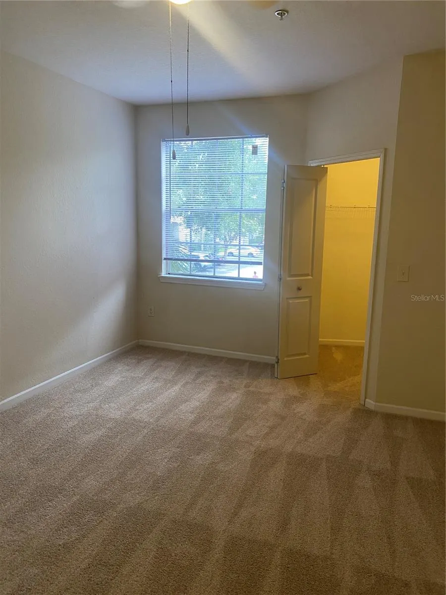 17106 CARRINGTON PARK DRIVE #607 Tampa, FL 33647