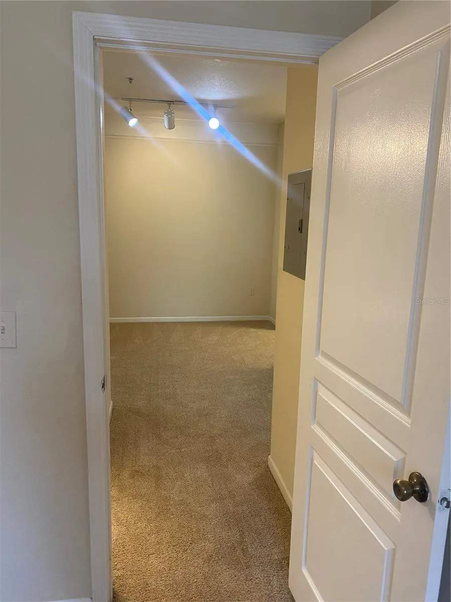 17106 CARRINGTON PARK DRIVE #607 Tampa, FL 33647