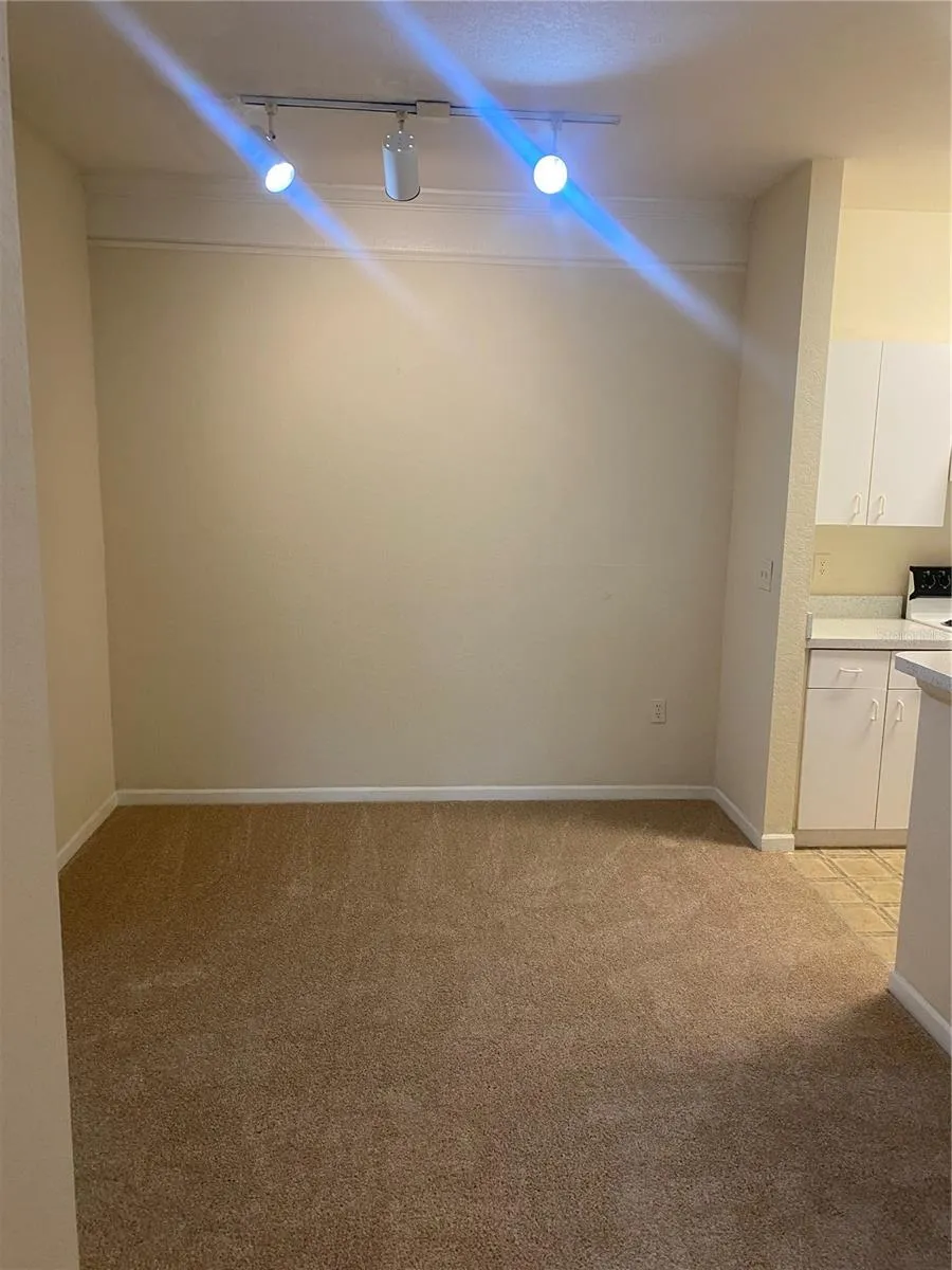 17106 CARRINGTON PARK DRIVE #607 Tampa, FL 33647