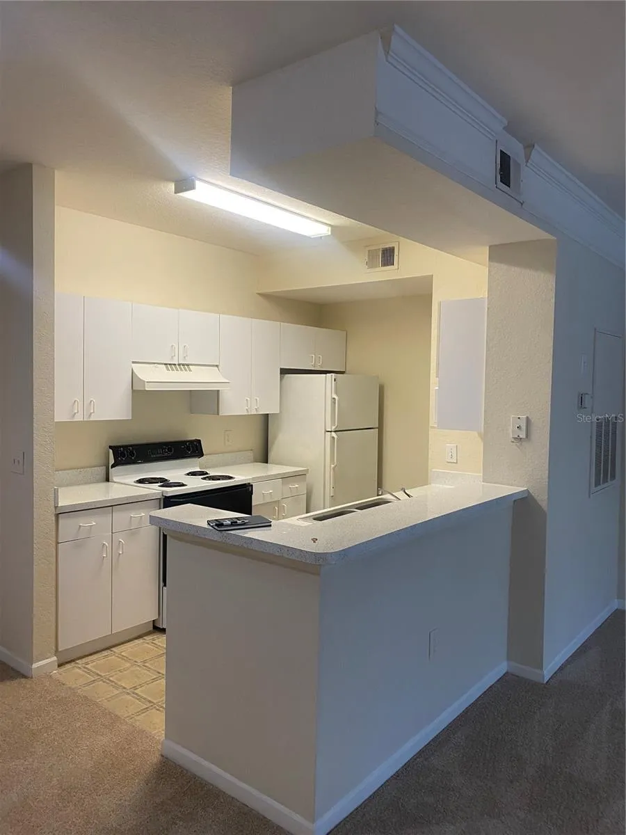 17106 CARRINGTON PARK DRIVE #607 Tampa, FL 33647