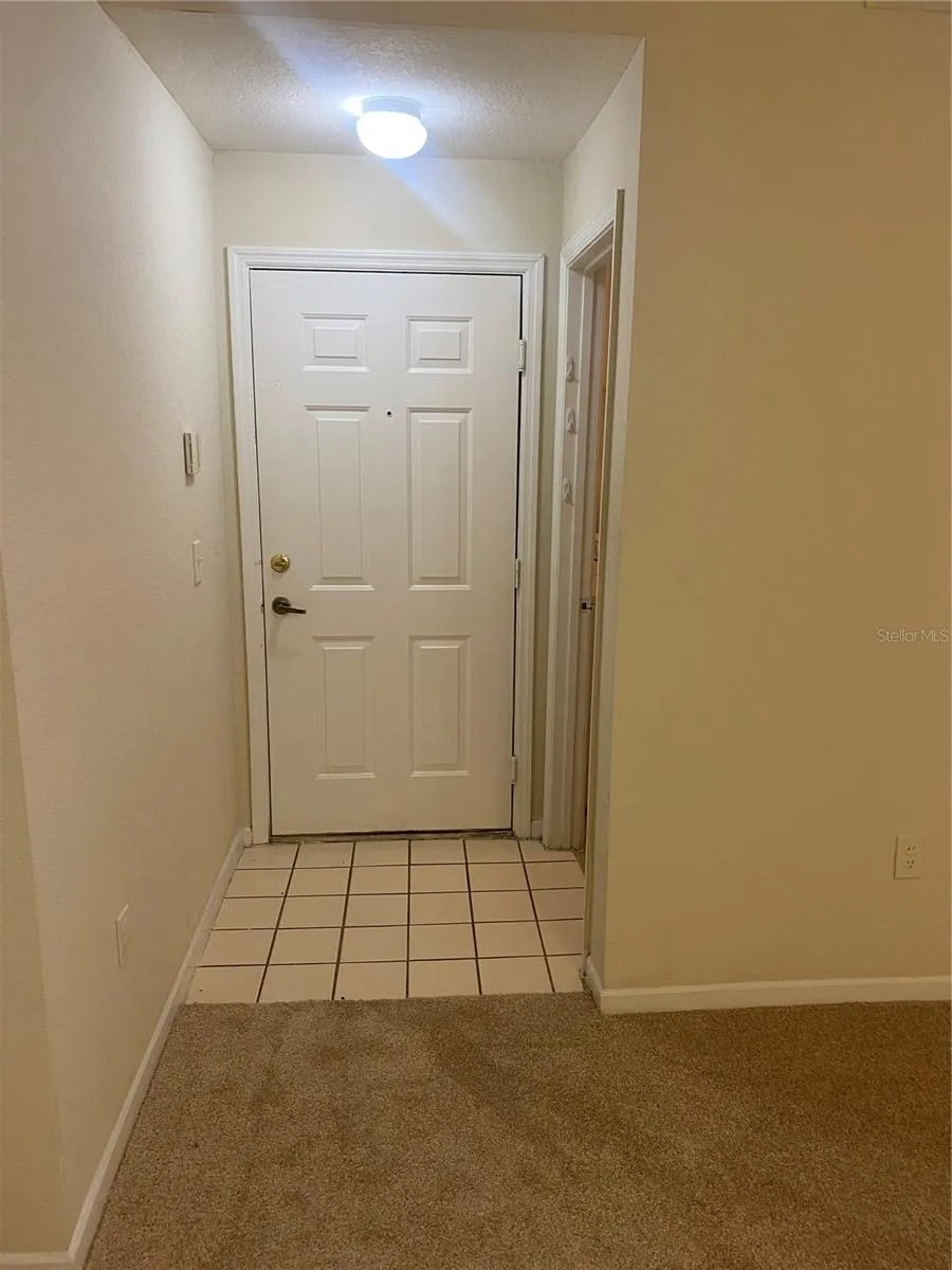 17106 CARRINGTON PARK DRIVE #607 Tampa, FL 33647
