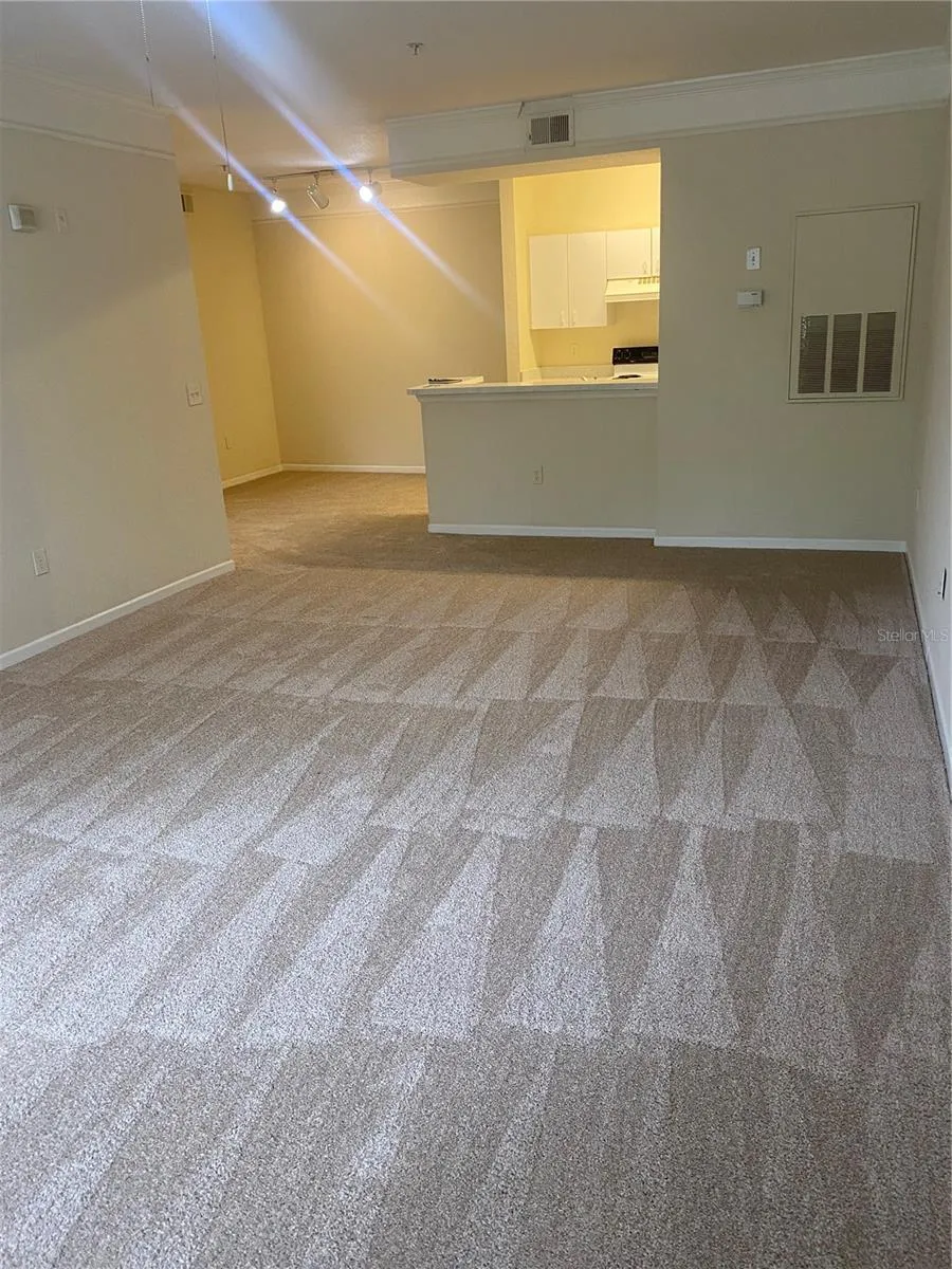 17106 CARRINGTON PARK DRIVE #607 Tampa, FL 33647