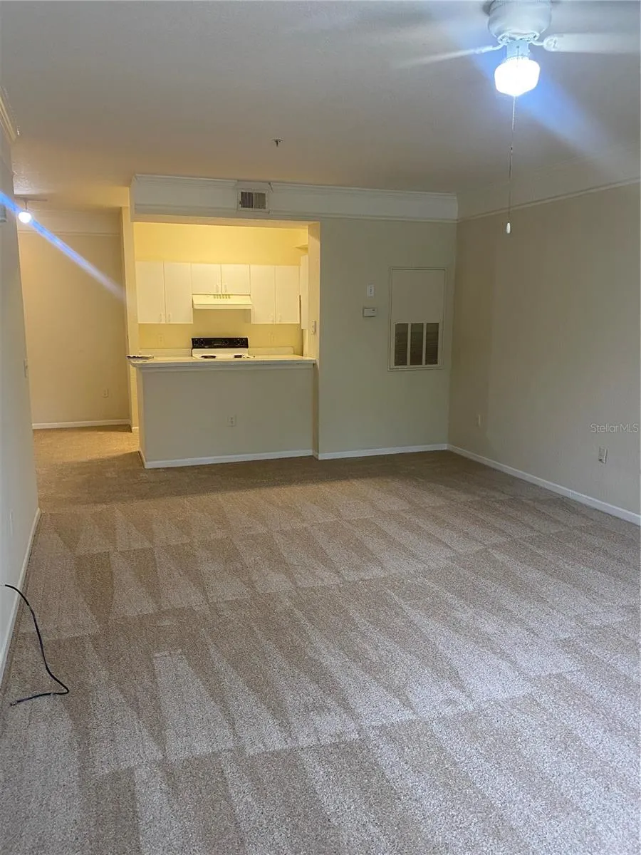 17106 CARRINGTON PARK DRIVE #607 Tampa, FL 33647
