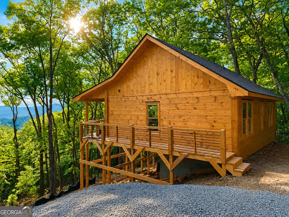 35 Davenport Court LN Blue Ridge, GA 30513