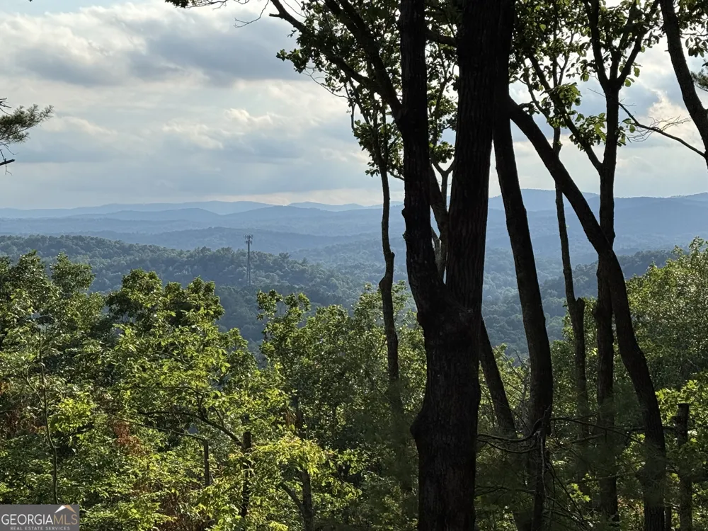 35 Davenport Court LN Blue Ridge, GA 30513