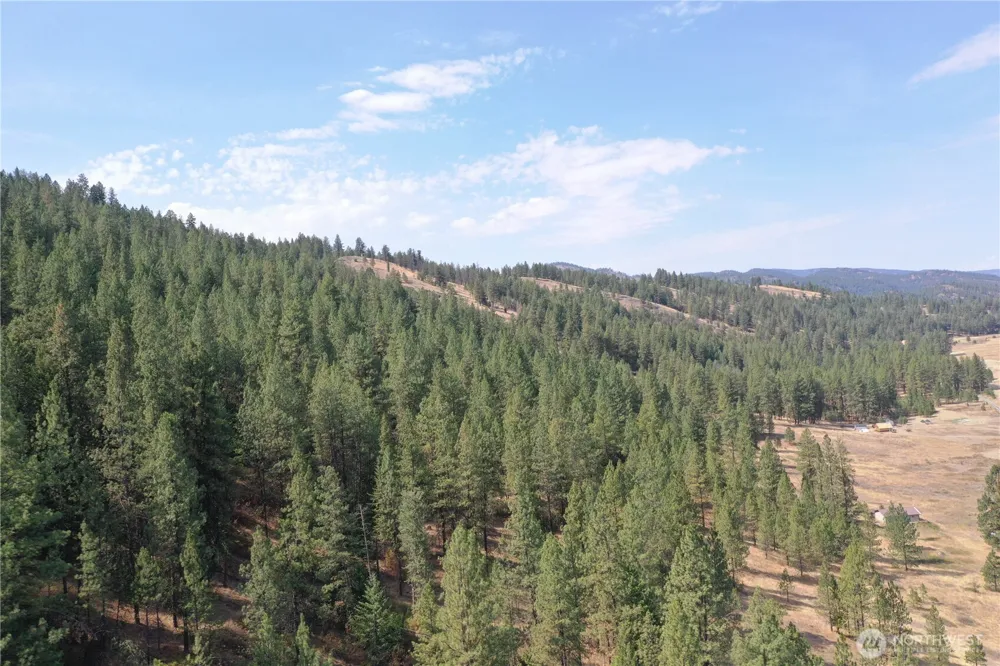20 Sorona Way Tonasket, WA 98855