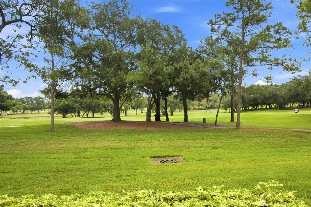 36750 US HIGHWAY 19 #21105 Palm Harbor, FL 34684