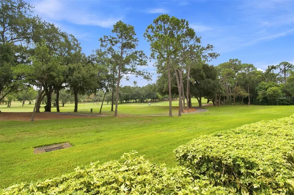 36750 US HIGHWAY 19 #21105 Palm Harbor, FL 34684