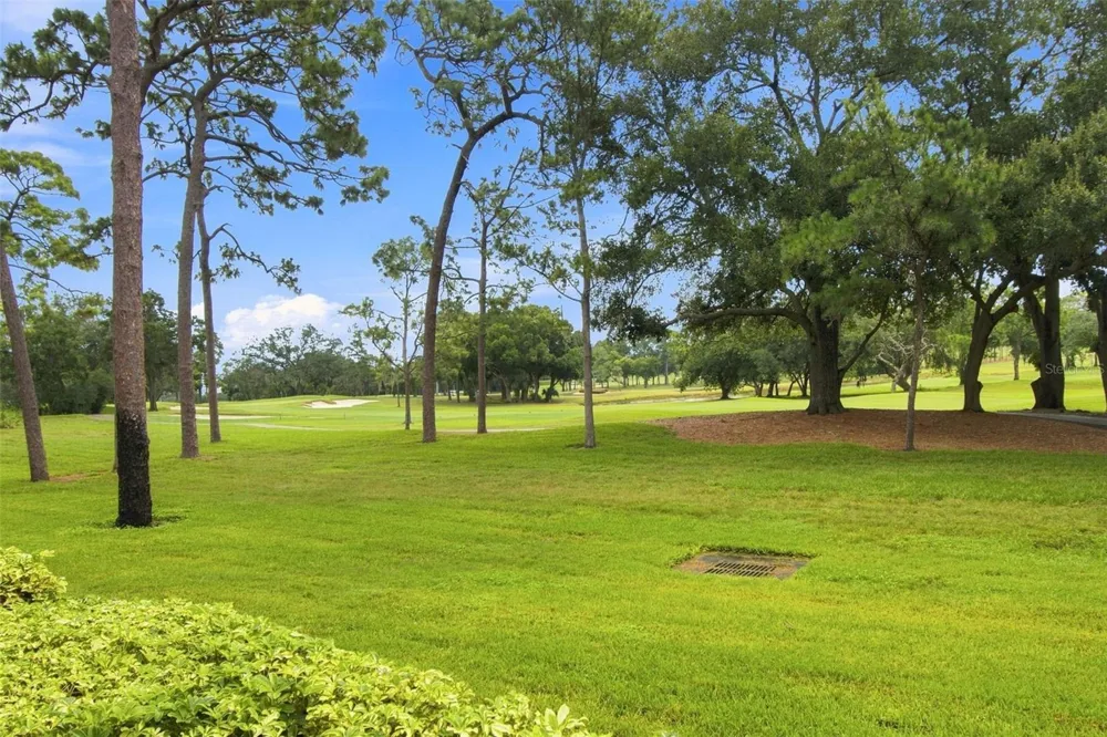 36750 US HIGHWAY 19 #21105 Palm Harbor, FL 34684