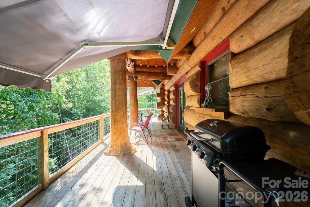 142 W Southwood Drive Brevard, NC 28712