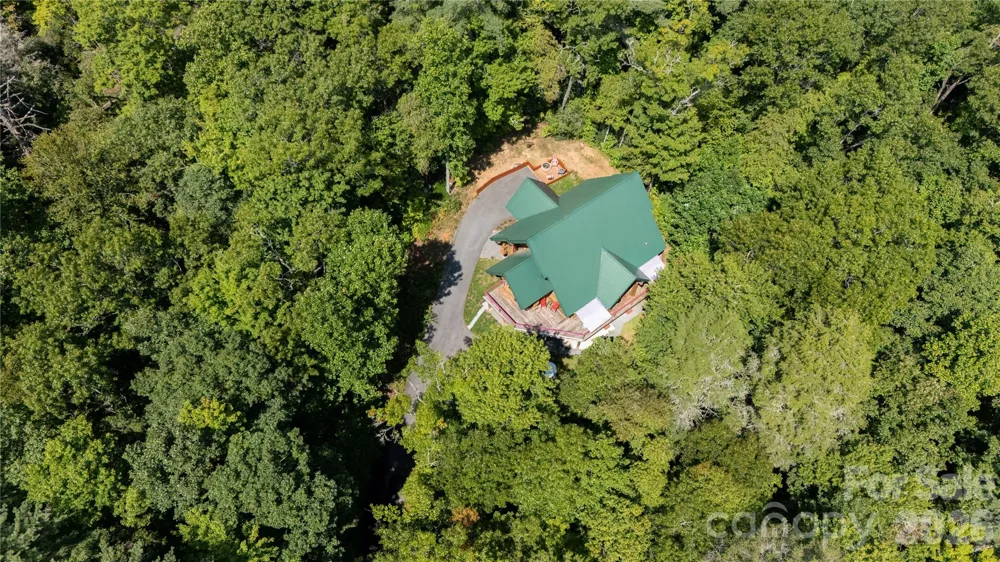 142 W Southwood Drive Brevard, NC 28712