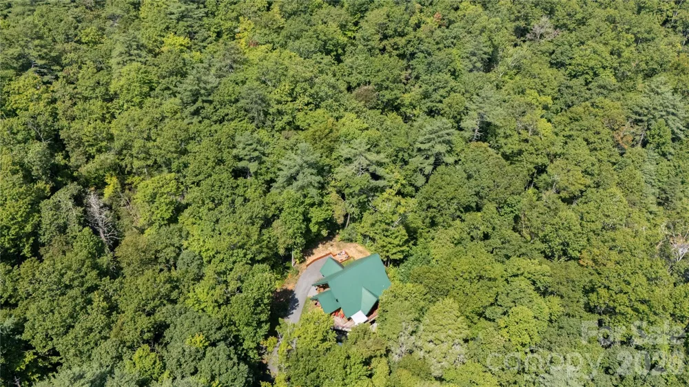 142 W Southwood Drive Brevard, NC 28712