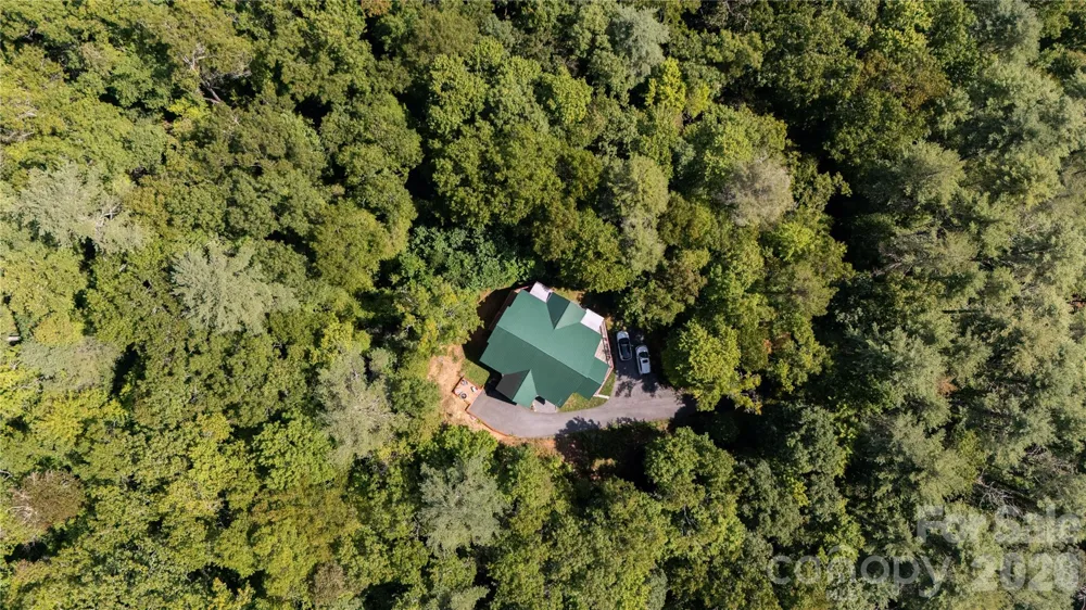142 W Southwood Drive Brevard, NC 28712
