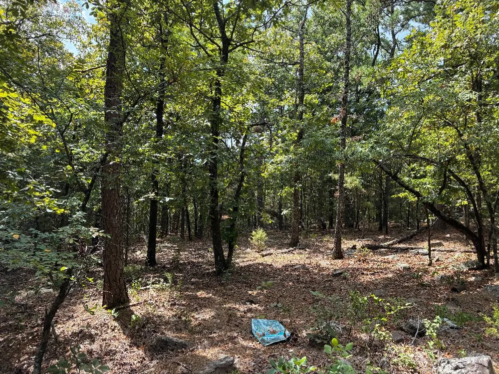 4565 ROAD McCurtain, OK 74944