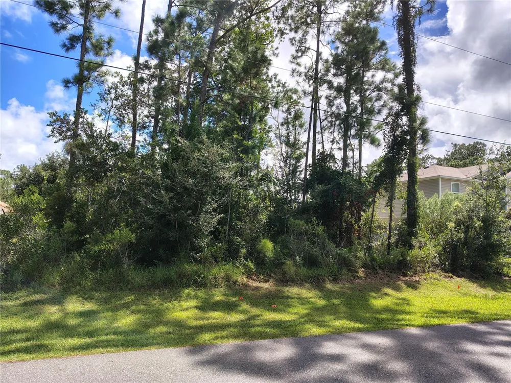 8 RYDING LANE Palm Coast, FL 32164