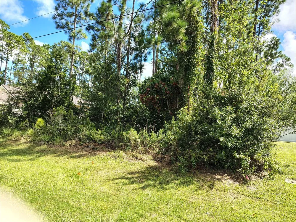 8 RYDING LANE Palm Coast, FL 32164