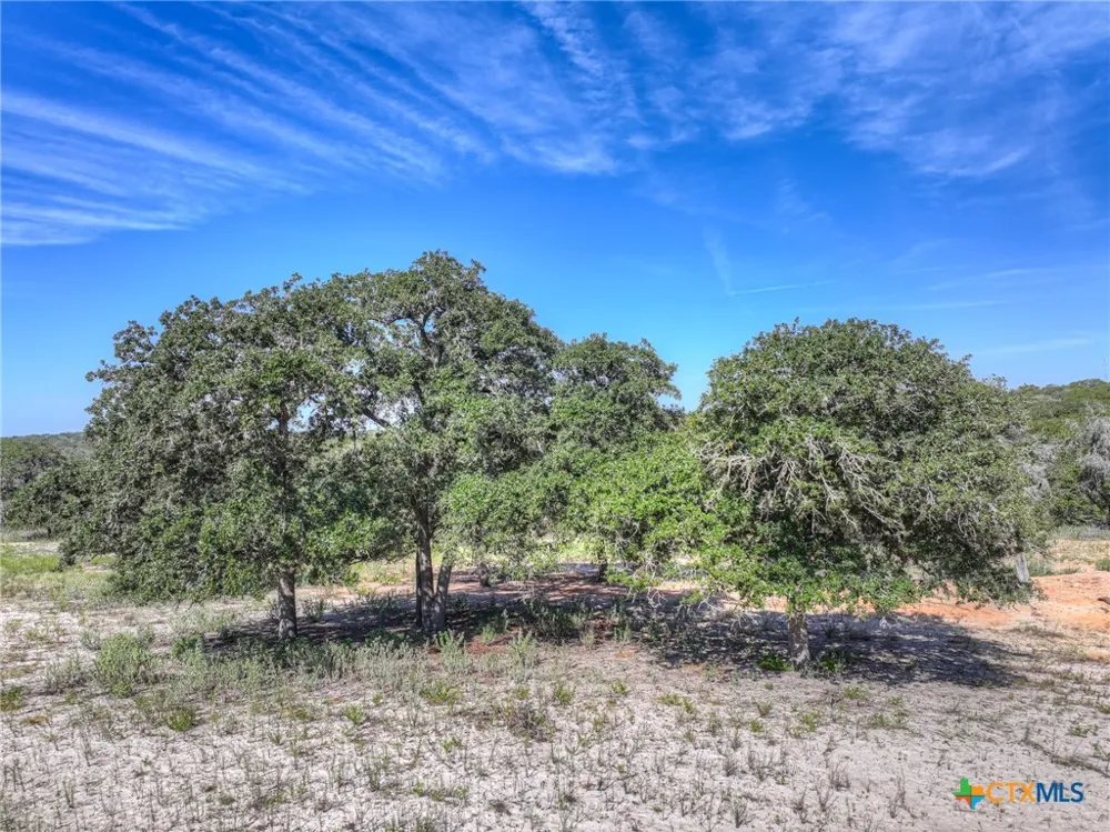 3912 Hickory Forrest Drive Seguin, TX 78155