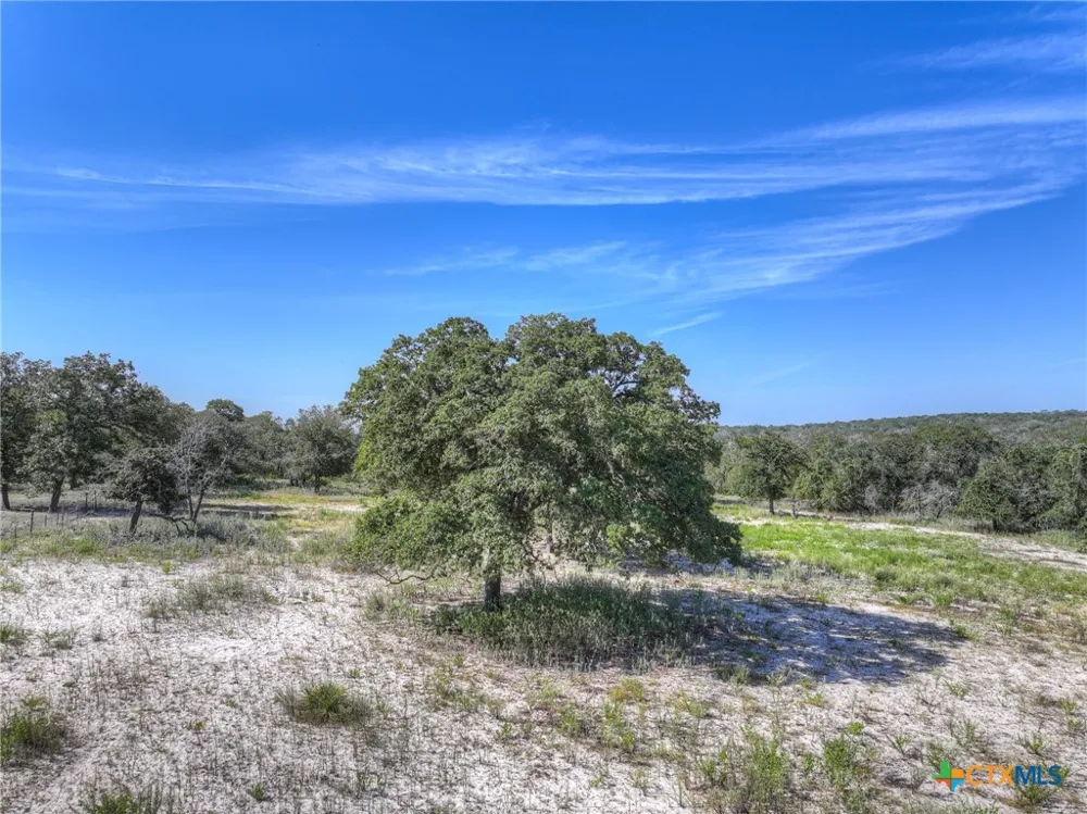 3912 Hickory Forrest Drive Seguin, TX 78155