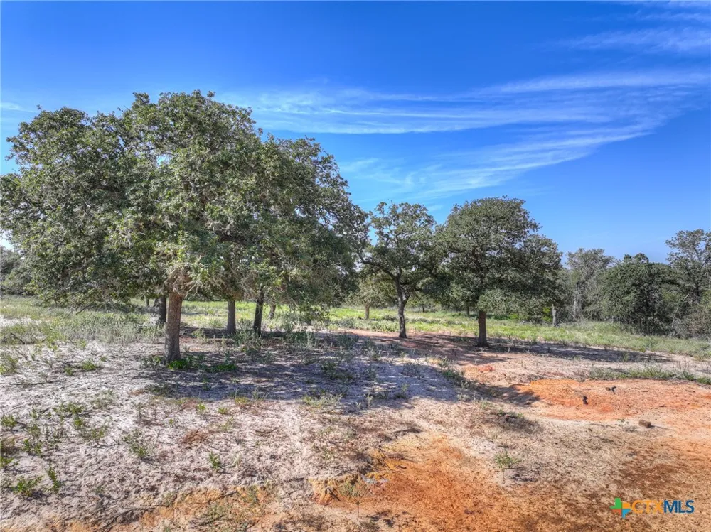 3912 Hickory Forrest Drive Seguin, TX 78155