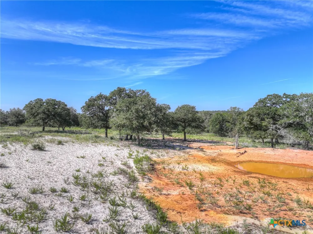 3912 Hickory Forrest Drive Seguin, TX 78155