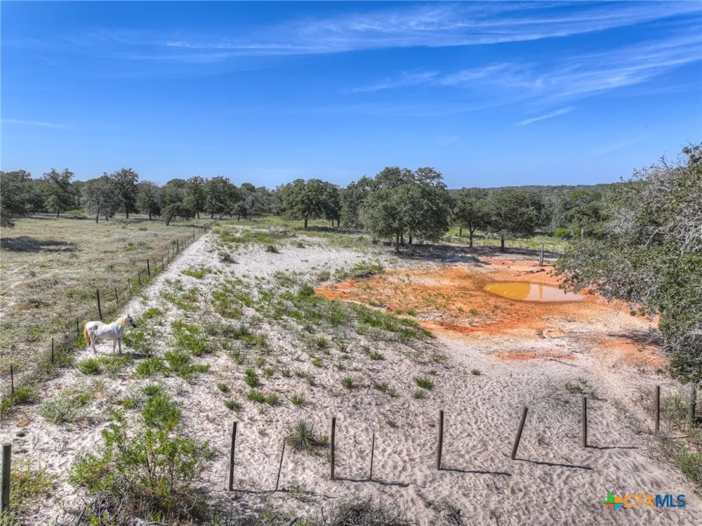 3912 Hickory Forrest Drive Seguin, TX 78155