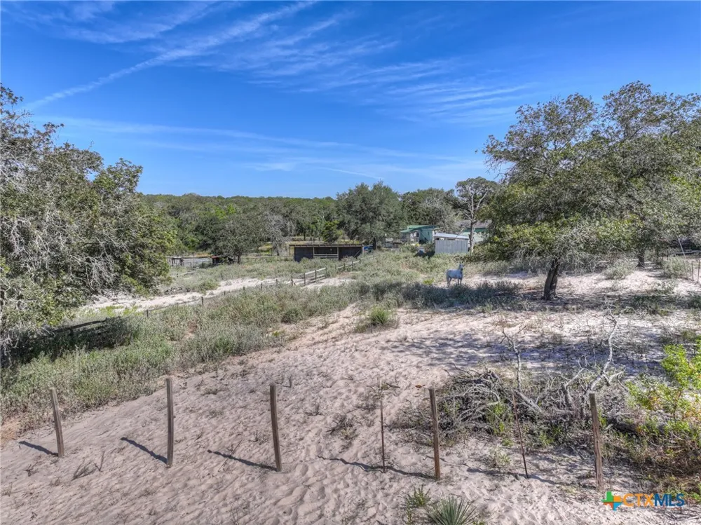 3912 Hickory Forrest Drive Seguin, TX 78155