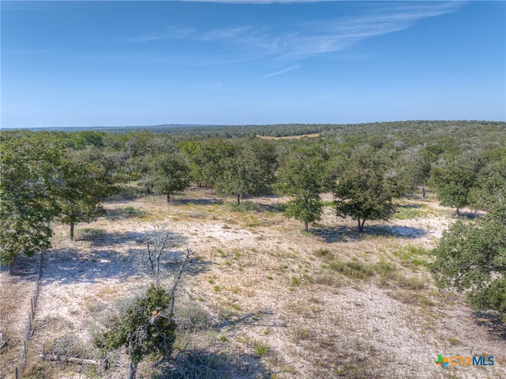 3912 Hickory Forrest Drive Seguin, TX 78155