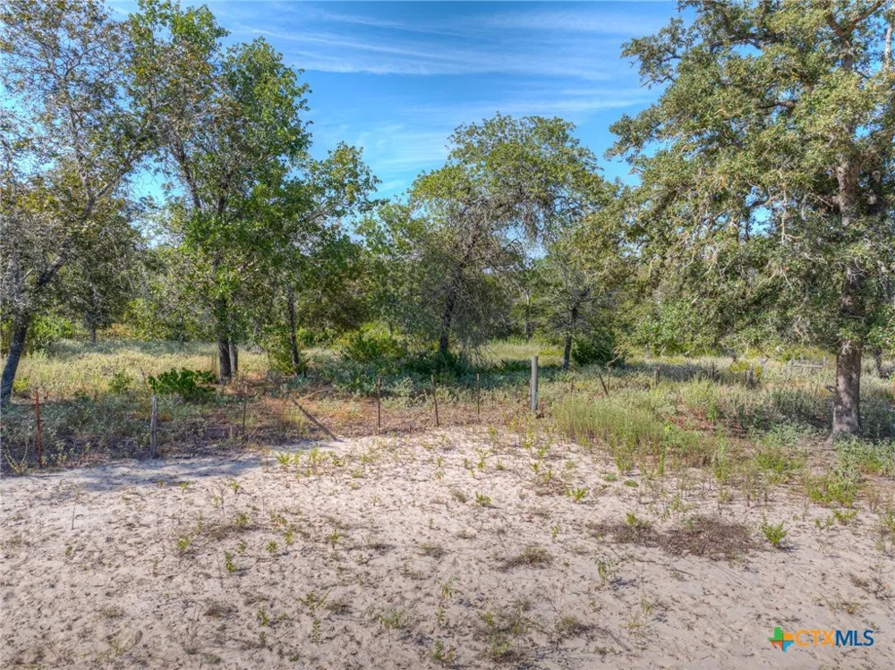 3912 Hickory Forrest Drive Seguin, TX 78155