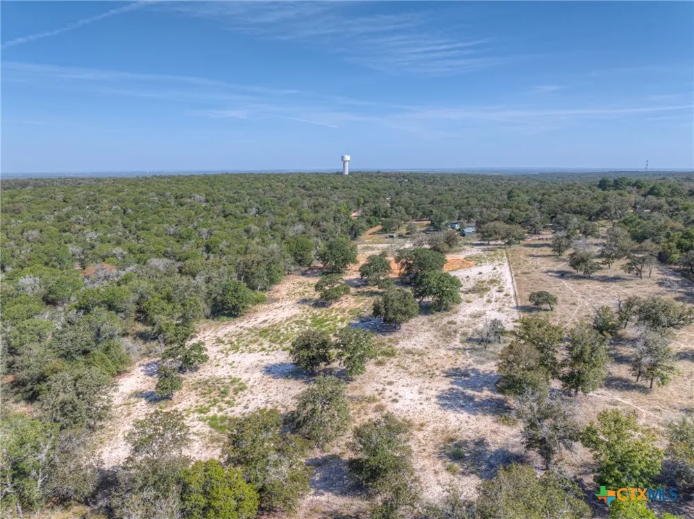 3912 Hickory Forrest Drive Seguin, TX 78155
