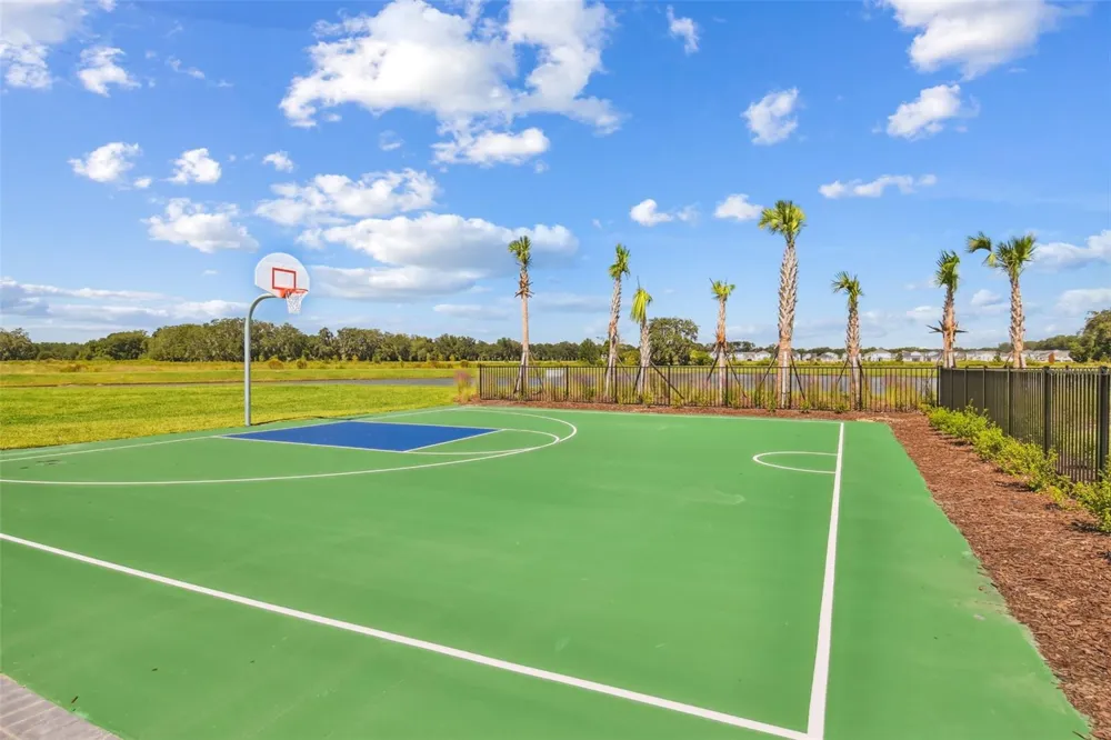 2774 COMMON FIG RUN Wesley Chapel, FL 33543