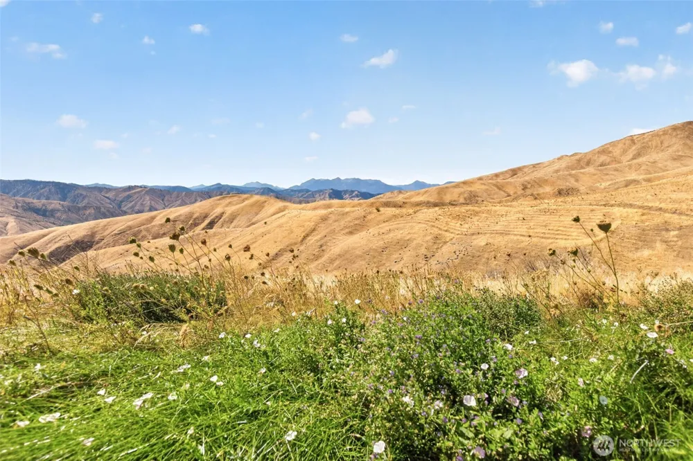 4284 April Drive Wenatchee, WA 98801