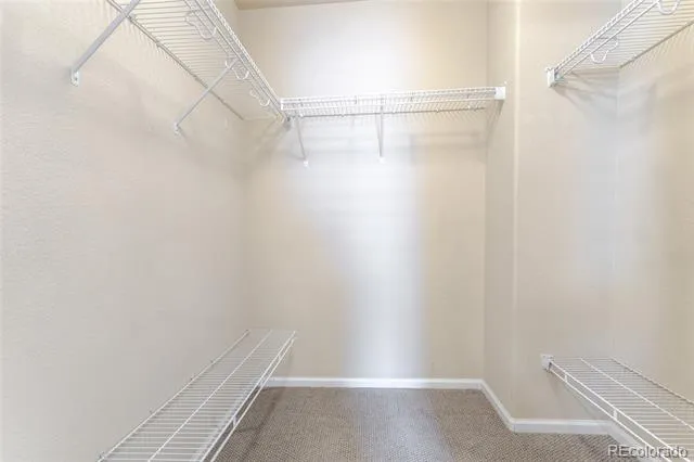11055 Chesmore Street Littleton, CO 80130
