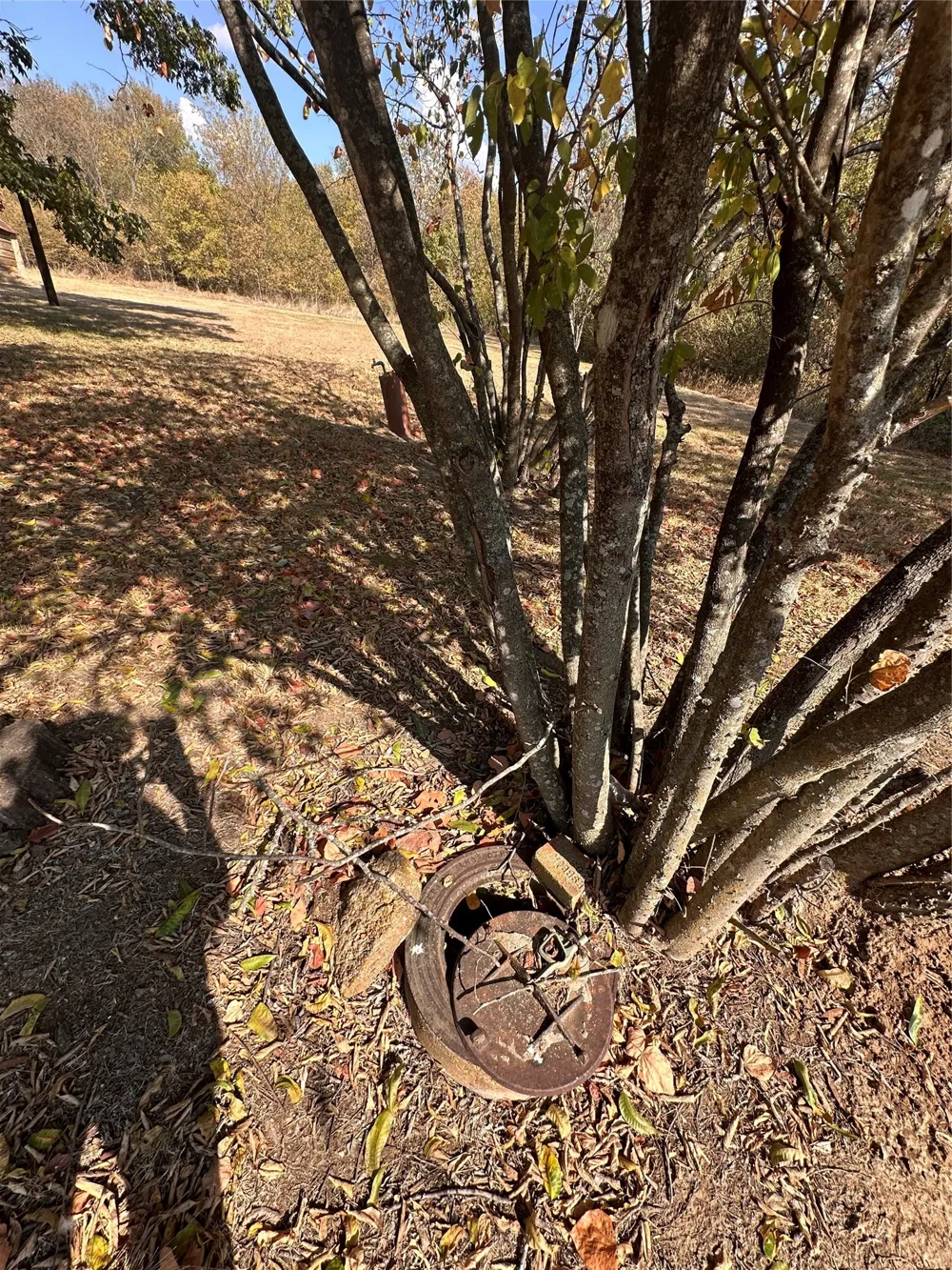 520 Mlk Avenue Wortham, TX 76693