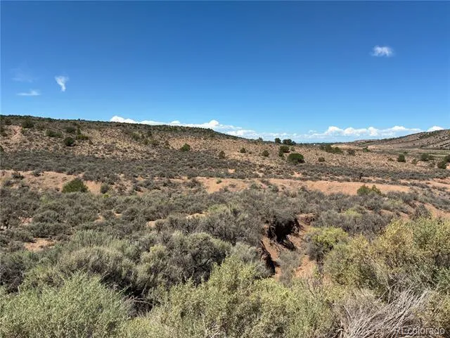 10AC Icehouse Road Fort Garland, CO 81133