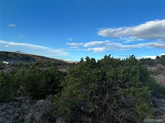 10AC Icehouse Road Fort Garland, CO 81133
