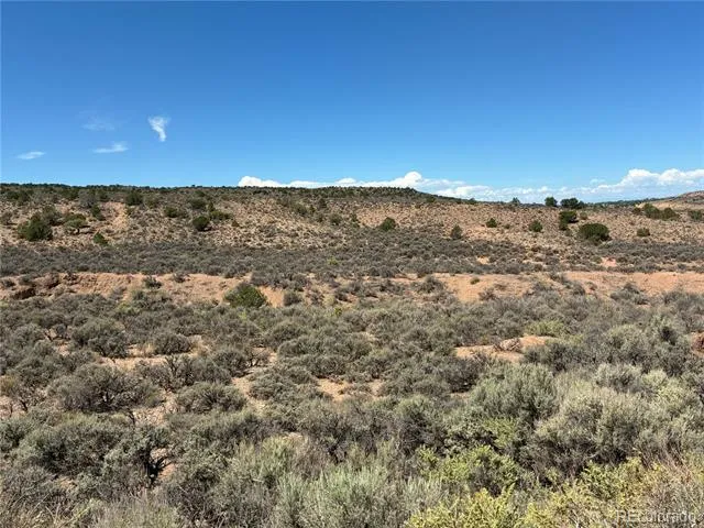 10AC Icehouse Road Fort Garland, CO 81133