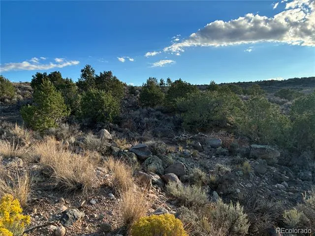10AC Icehouse Road Fort Garland, CO 81133