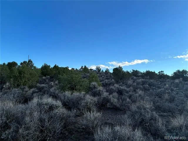 10AC Icehouse Road Fort Garland, CO 81133