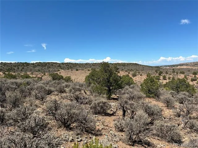 10AC Icehouse Road Fort Garland, CO 81133
